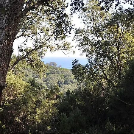 En Corse Avec Terrasse Au Calme شقة *