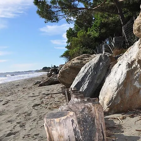 En Corse Avec Terrasse Au Calme דירה *