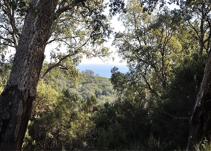 En Corse Avec Terrasse Au Calme Apartamento *