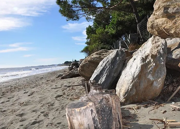 En Corse Avec Terrasse Au Calme Apartamento *