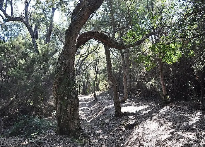 Apartamento En Corse Avec Terrasse Au Calme Santa-Lucia-di-Moriani